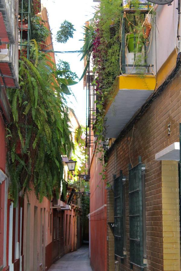 Street Appartement *